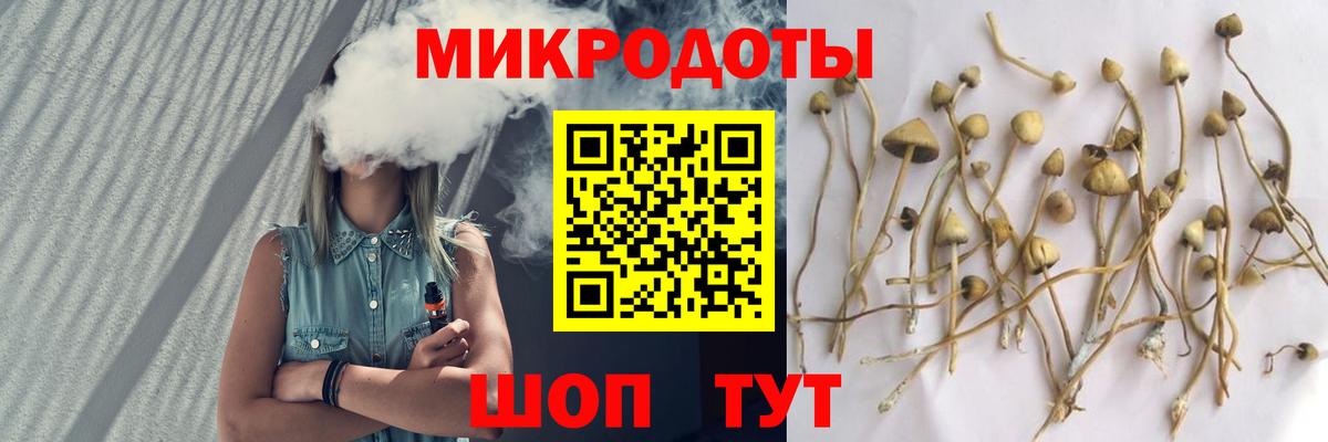 Галлюциногенные грибы MAGIC MUSHROOMS Калач-на-Дону